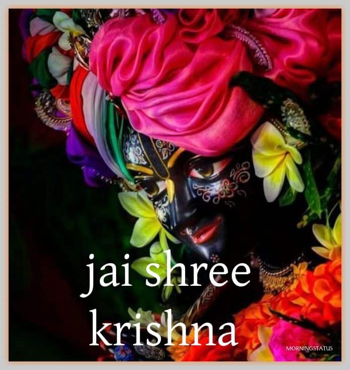 jai shree krishna images