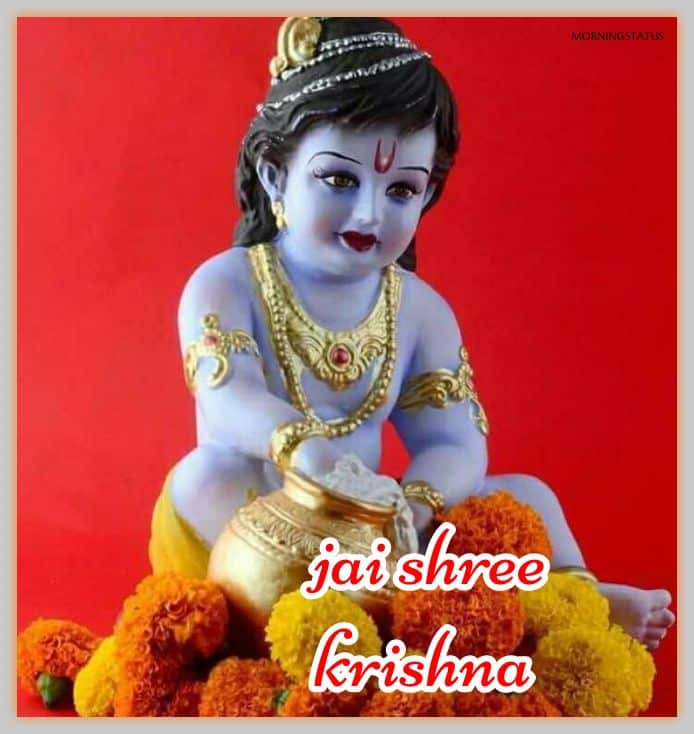 jai shree krishna images