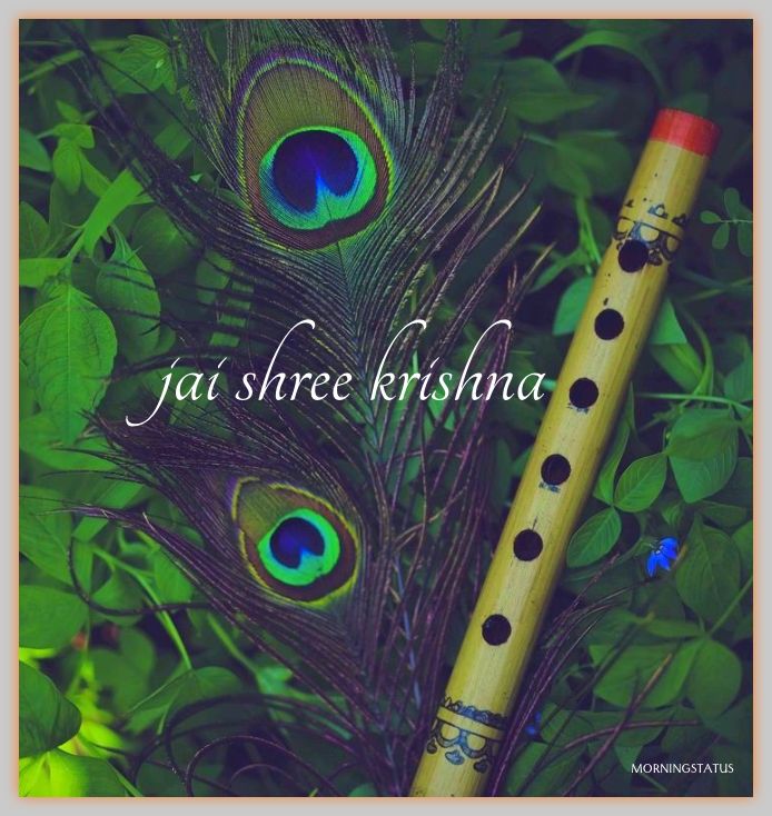 jai shree krishna images