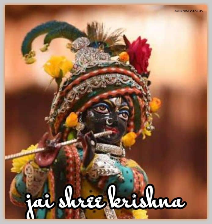 krishna bhagwan ka photo