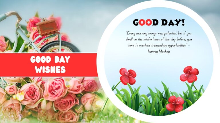 Graphic with a positive message, featuring a bouquet of pink roses on the left and a text on the right saying "Good Day Wishes" alongside a quote about embracing new opportunities, set against a backdrop