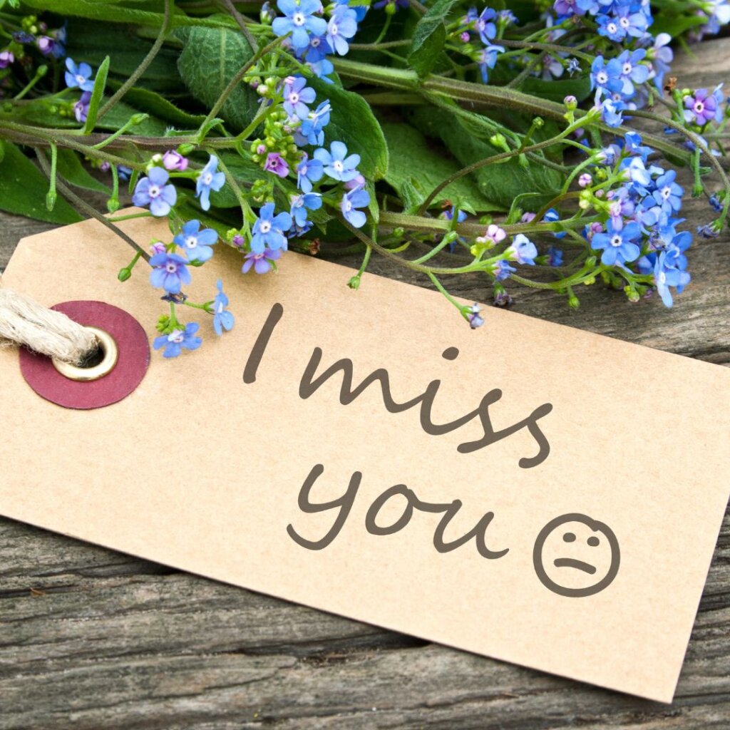 I Miss You Message