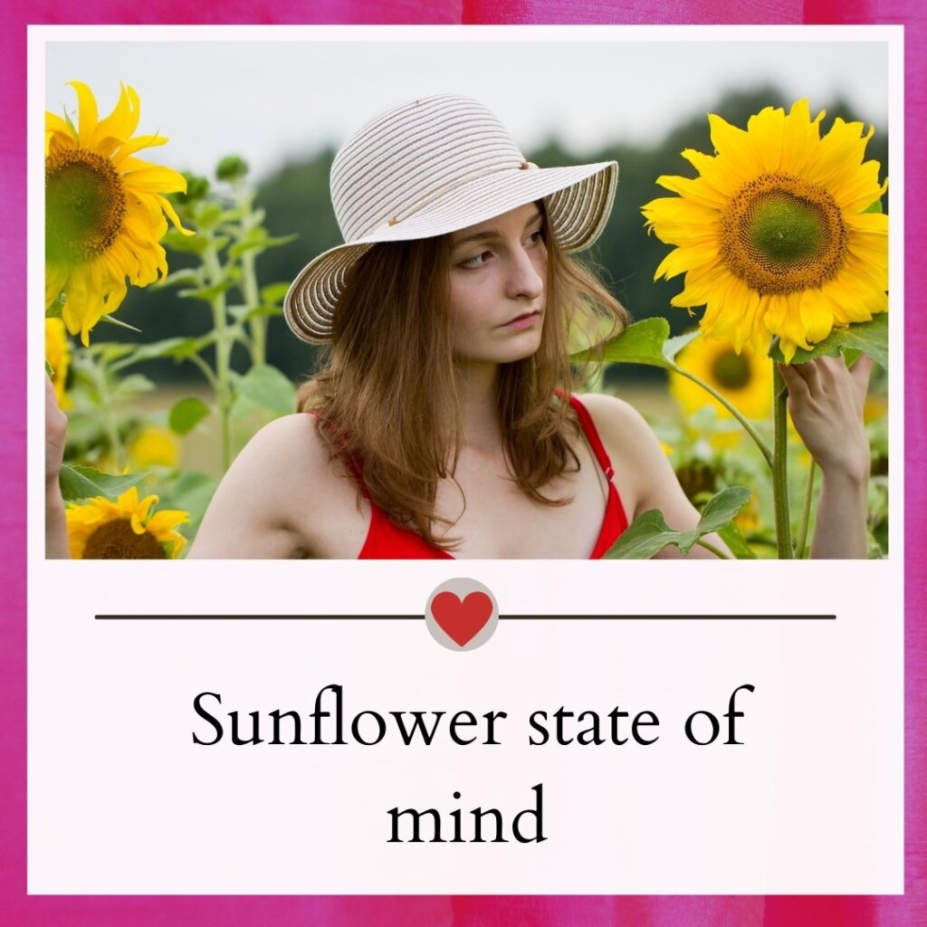 Sunflower captions