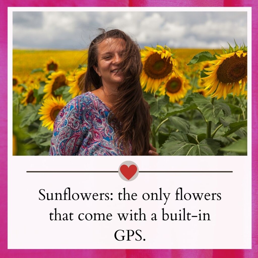 Sunflower captions