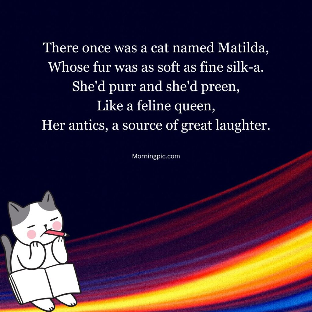 Funny Limericks