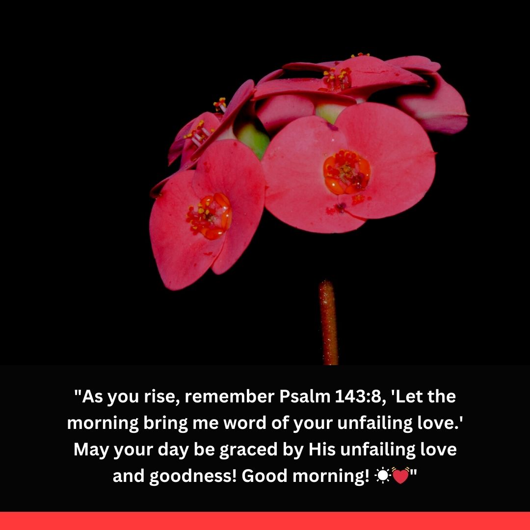 Biblical Good Morning Messages