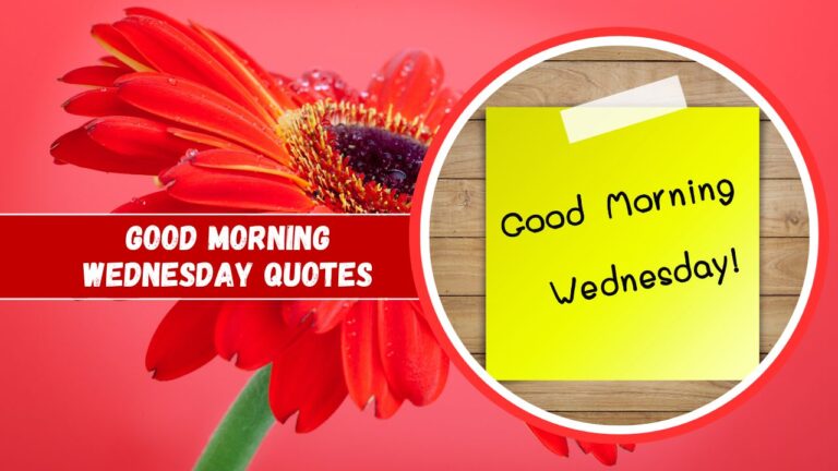 A vibrant split image featuring a red daisy on the left with water drops on the petals and a round wooden frame showcasing a yellow sticky note with "good morning Wednesday quotes" written on it, against