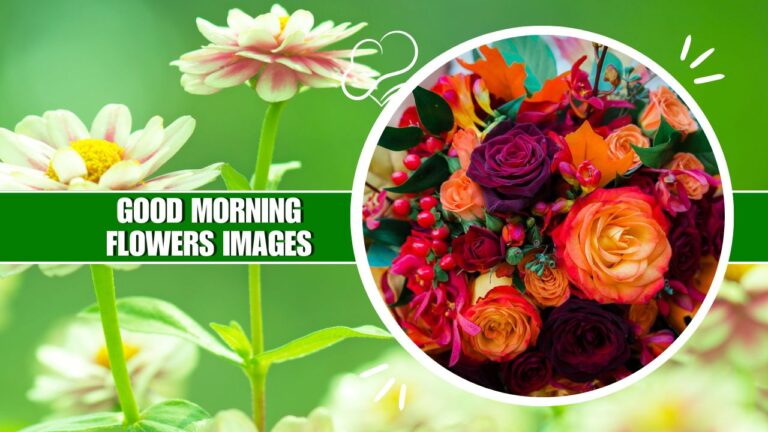 Good Morning Flowers Images