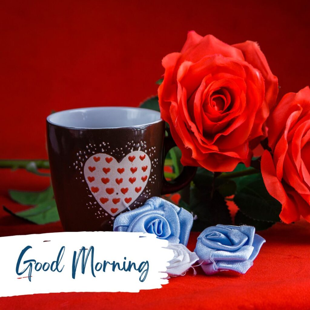 Good Morning Love Images red rose