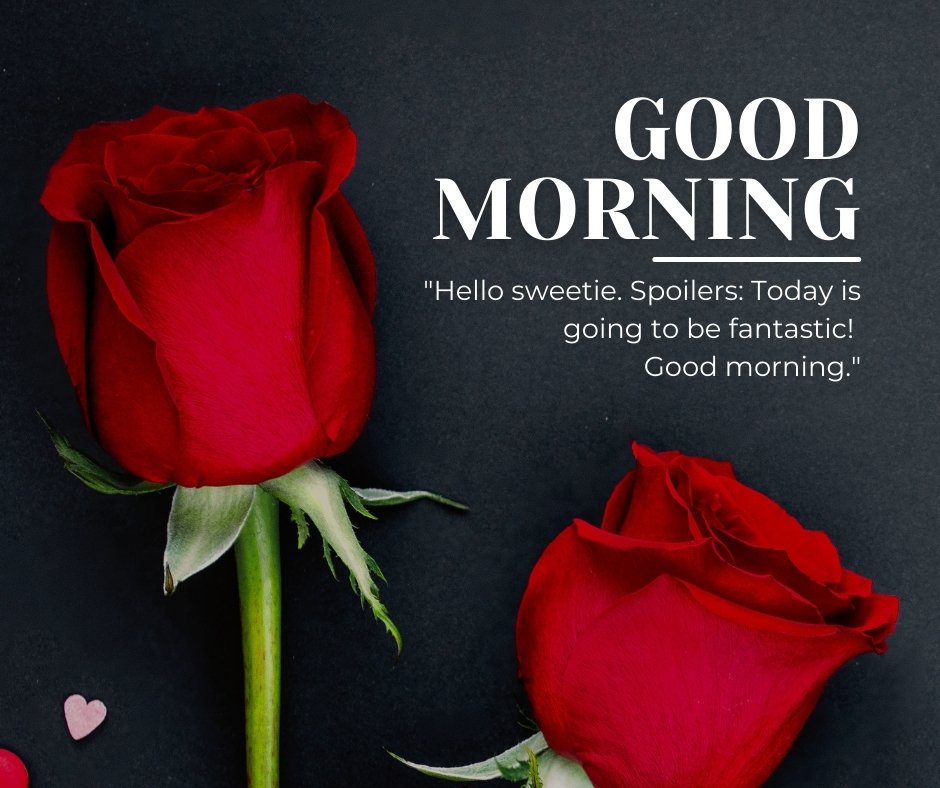 Two red roses on a dark background with the text 'Good Morning' and 'Hello sweetie. Spoilers: Today is going to be fantastic! Good morning.' This image is perfect for fandom-related good morning messages for a wife.