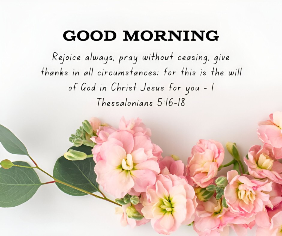 Good Morning message with a quote from 1 Thessalonians 5:16-18 about rejoicing and giving thanks, displayed above a beautiful arrangement of pink flowers and green leaves, perfectly capturing the essence of Good Morning Bible Verses for Gratitude and Joy.