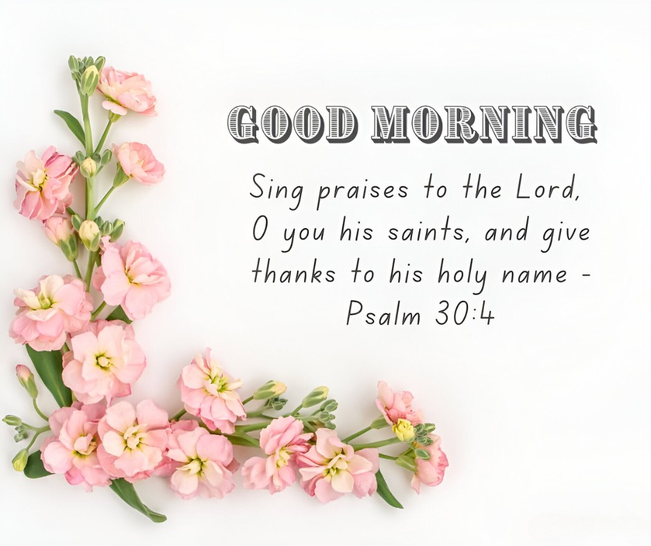 Good Morning greeting showcasing Psalm 30:4 with a vibrant display of pink flowers on a white background, symbolizing Good Morning Bible Verses for Gratitude and Joy.