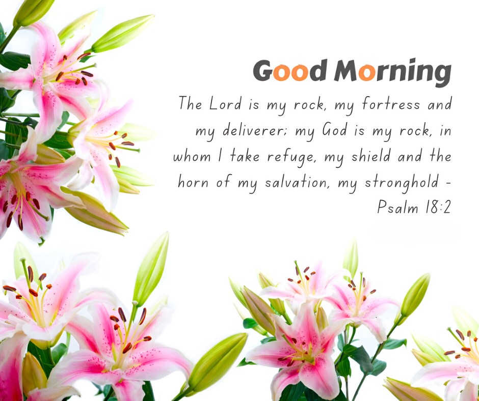 Good Morning message featuring Psalm 18:2 overlaid on an image of vibrant pink lilies, representing Good Morning Bible Verses for Strength and Courage, perfect for starting the day with spiritual inspiration.