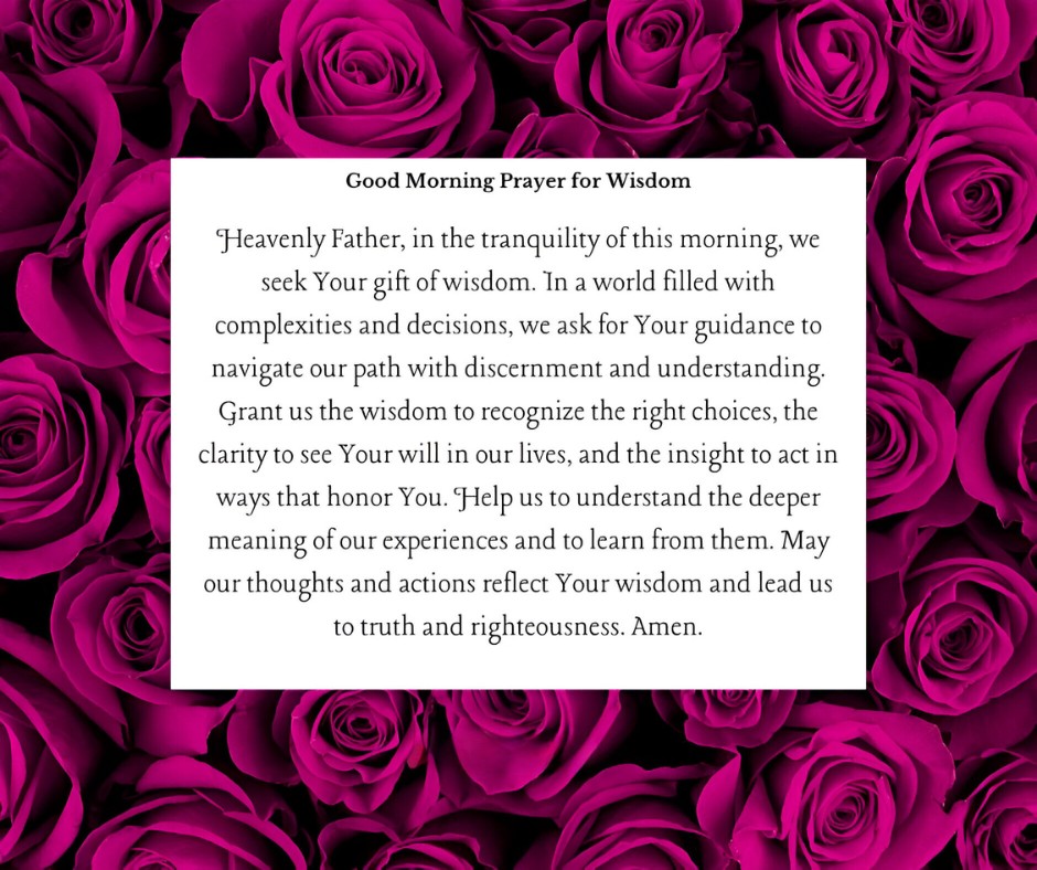 Good Morning Prayer for Wisdom displayed over a striking background of deep magenta roses, featuring a prayer for guidance, discernment, and understanding in daily choices and challenges.