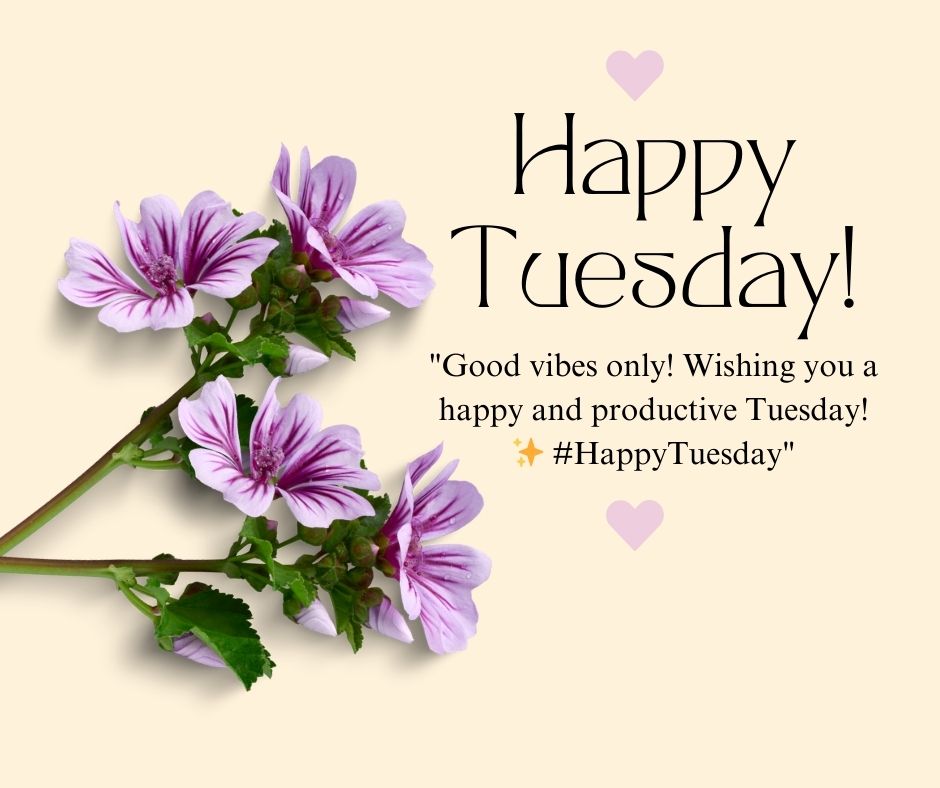 happy tuesday quotes and images