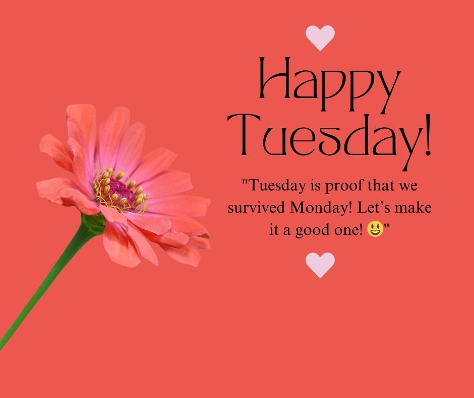 happy tuesday quotes and images