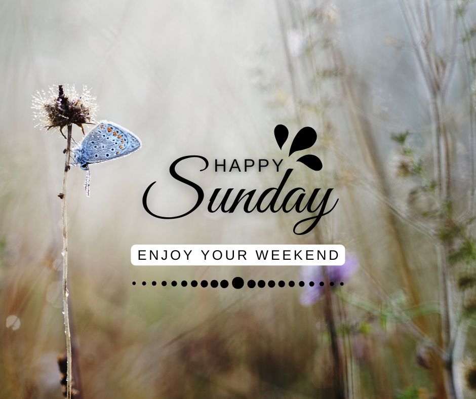 Good morning happy Sunday hd images