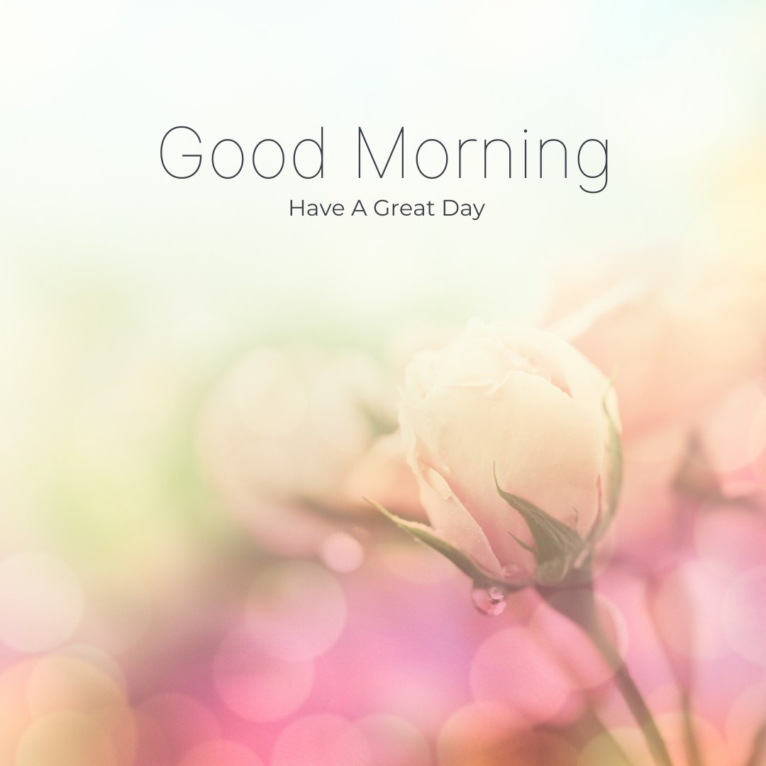 Soft focus image of a pale rose with dew, under a light and colorful bokeh background, with Good Morning and Have A Great Day text.