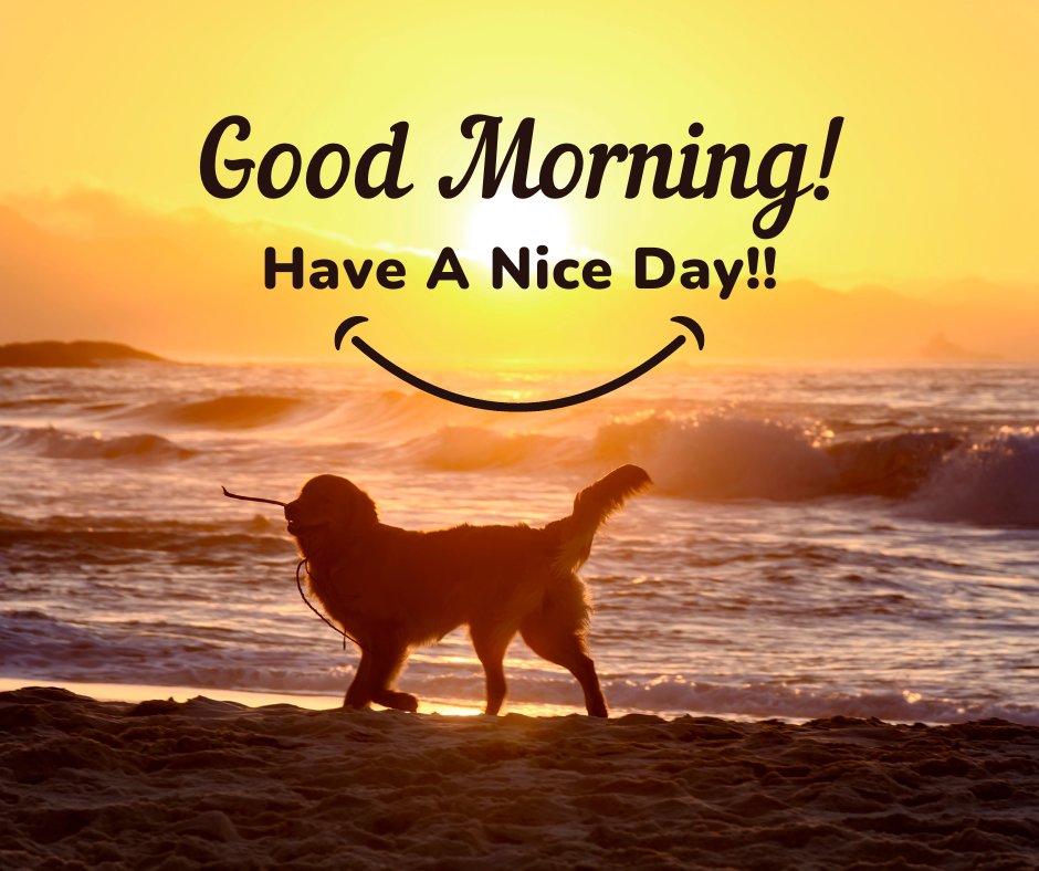 Silhouette of a golden retriever playing with a stick on the beach at sunrise, with Good Morning and Have A Nice Day text.