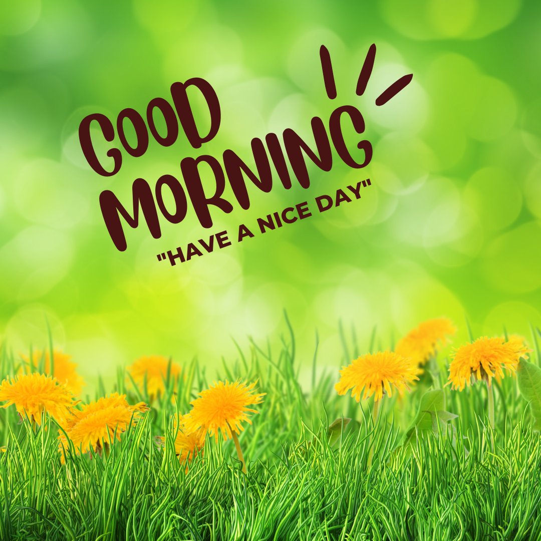 Lush green meadow with dandelions under a vibrant green bokeh background, featuring Good Morning and Have A Nice Day text.