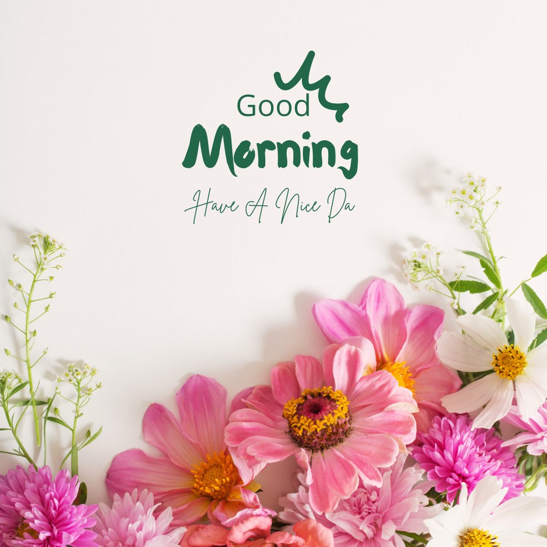 A bouquet of pink, white, and orange flowers is arranged against a plain white background. Above the flowers, green text reads "Good Morning" with "Have A Nice Day" written below in a cursive font, creating one of those perfect good morning Have a Nice day images.