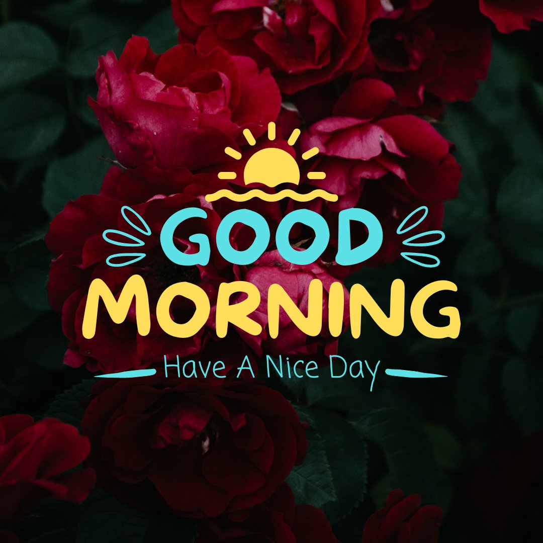 Lush red roses with dark green leaves, highlighted with a vibrant Good Morning and Have A Nice Day text and a playful sun illustration.