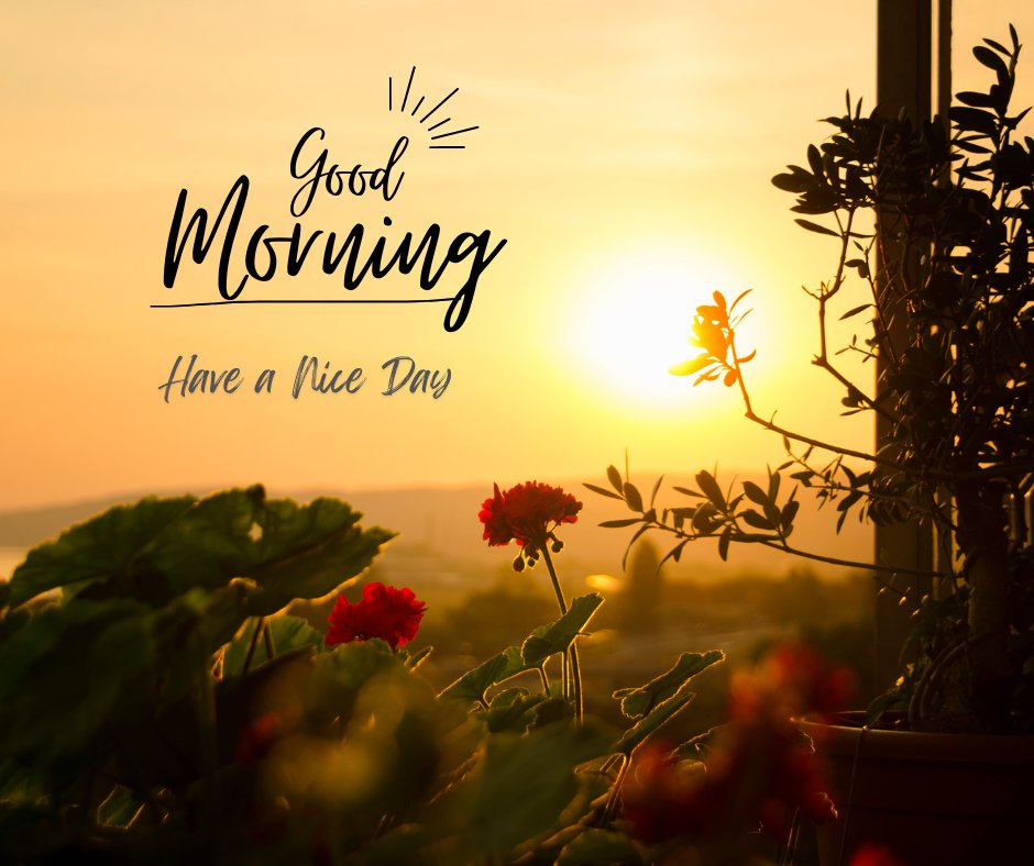 A morning scene with the sun rising, casting a warm golden glow over flowers and plants in the foreground. The words "Good Morning" are written in a stylish font, with "Have a Nice Day" underneath. This charming landscape is perfect for Good Morning Have a Nice Day Images.