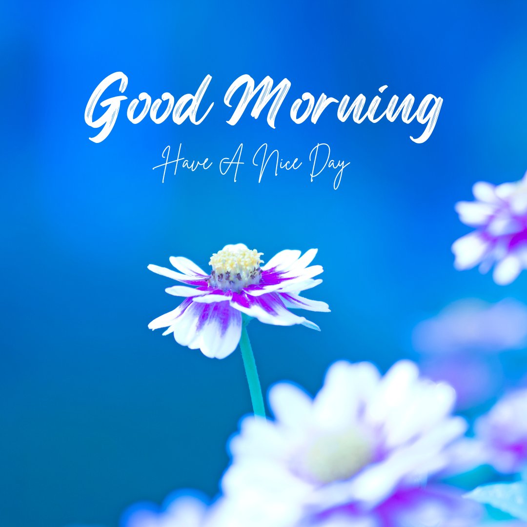 A close-up of a flower with white and purple petals against a blurred blue background. The text "Good Morning" is written in bold script, with "Have A Nice Day" in smaller, elegant script beneath it. Perfect for good morning have a great day images enthusiasts.