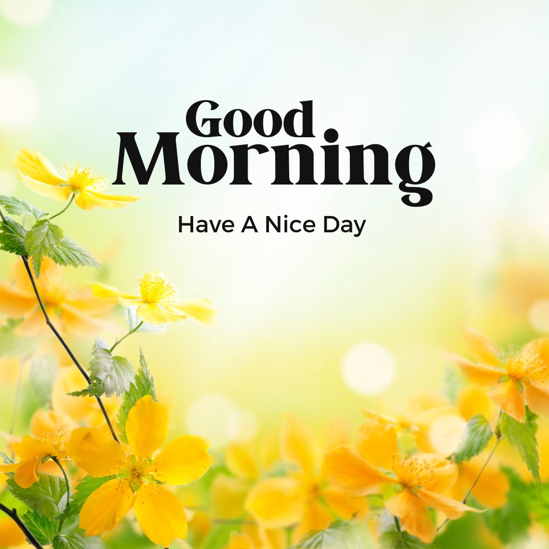 A bright and cheerful image of yellow flowers in the foreground against a soft, green and white background. The text "Good Morning" is written in bold black letters at the top, with "Have A Nice Day" in smaller black letters just below it - perfect for good morning images to start your day.