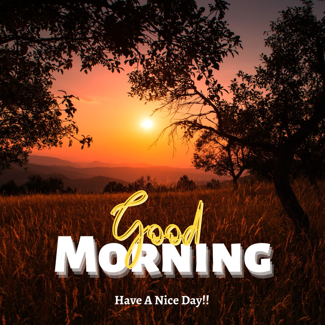 Sunrise scene with an orange and purple sky, silhouetted trees, and tall grass in the foreground. The text "Good Morning" in large white and yellow letters is in the center of the images, with "Have A Nice Day!!" below it.