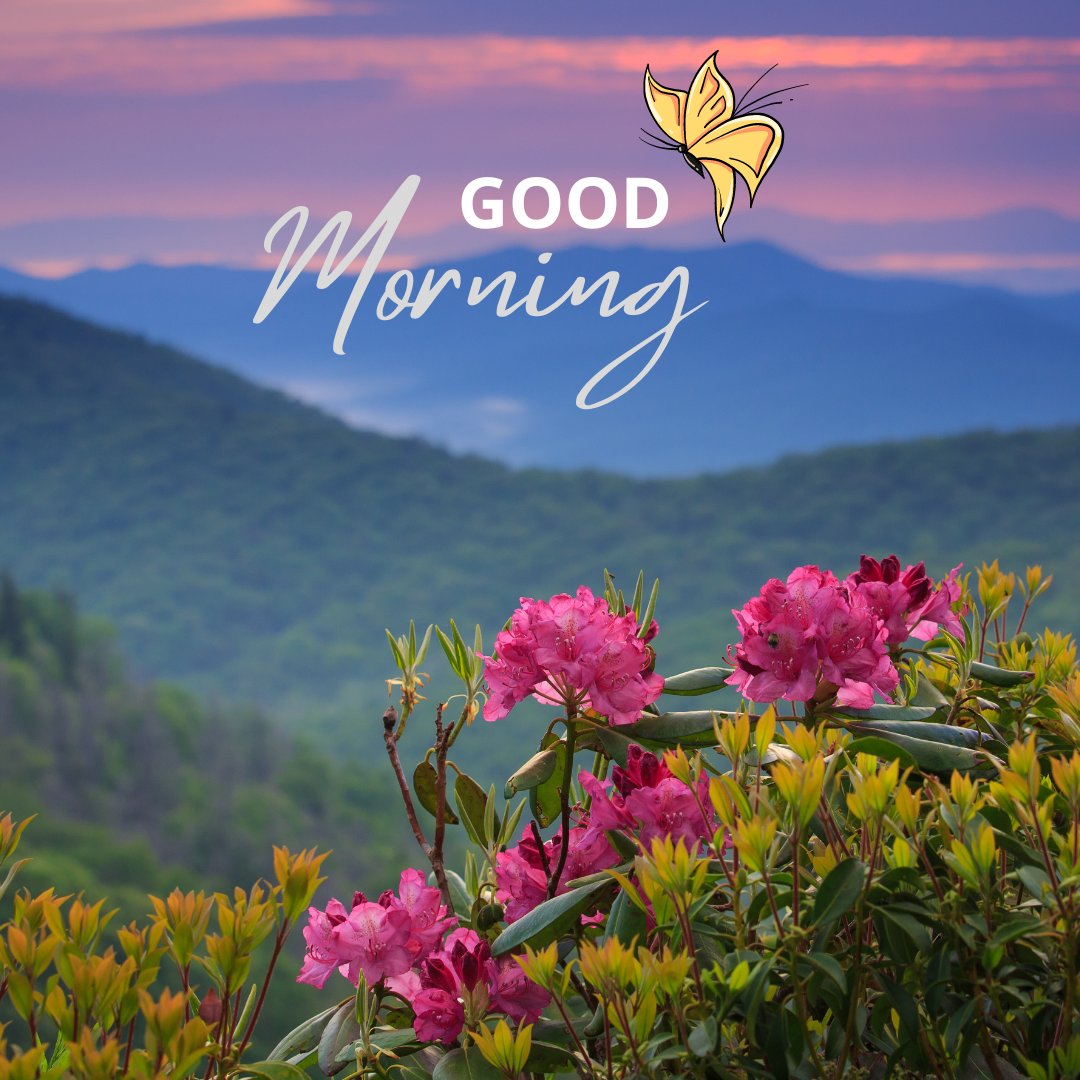 Good morning nature image featuring vibrant pink rhododendron flowers in the foreground with a backdrop of rolling green hills and a colorful sunrise, complemented by a cheerful butterfly graphic.