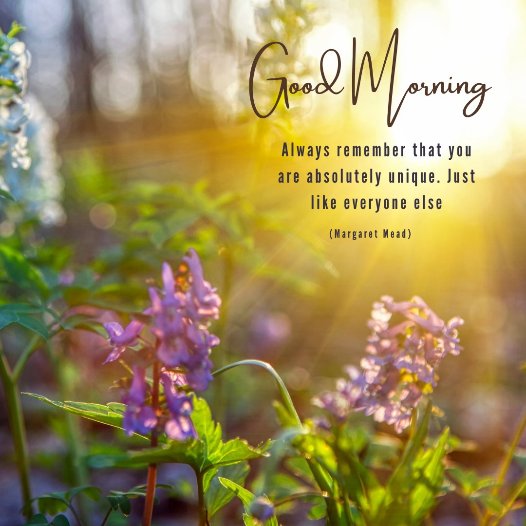 Good morning nature image featuring delicate purple and white wildflowers bathed in the golden light of sunrise, with the inspirational quote 'Always remember that you are absolutely unique. Just like everyone else' by Margaret Mead.