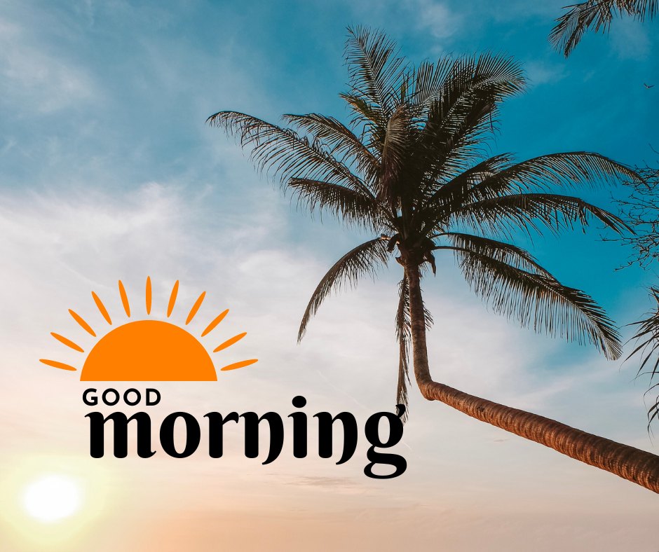 Good morning nature image featuring a warm sunrise with a vibrant orange sun graphic saying 'Good Morning' above a silhouette of a tall, leaning palm tree against a clear sky.