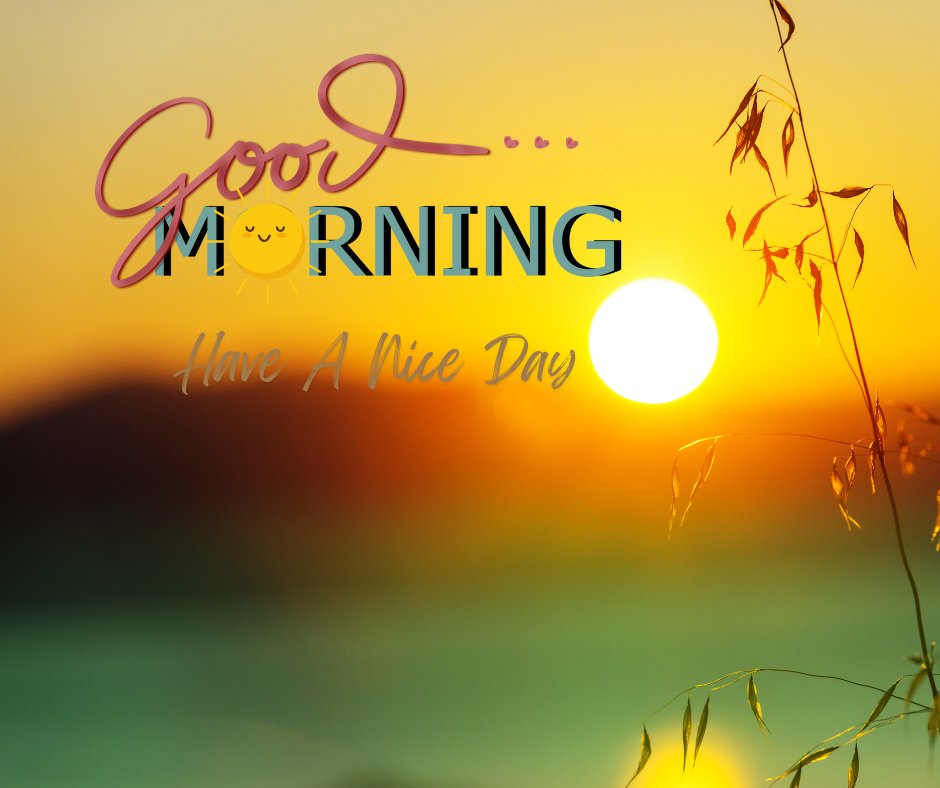 Sunrise scene with Good Morning and Have A Nice Day text overlay, featuring a smiling sun graphic and plants against a colorful sky.