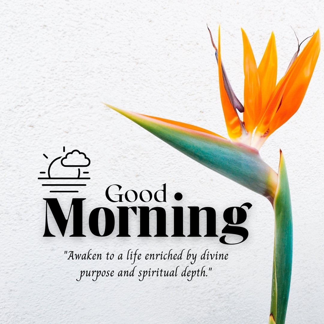 Good morning blessings image with a vibrant Bird of Paradise flower against a white wall, featuring a sunrise graphic and an inspirational quote about divine purpose and spiritual depth.