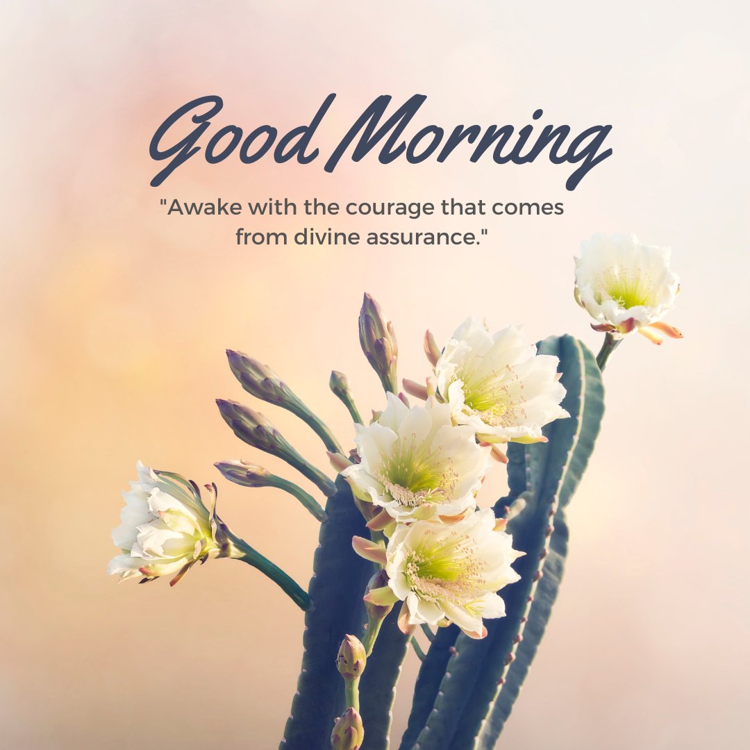 Good morning blessings image featuring a cactus with vibrant white blooms against a soft sunrise background, accompanied by an inspirational quote about waking with courage from divine assurance.