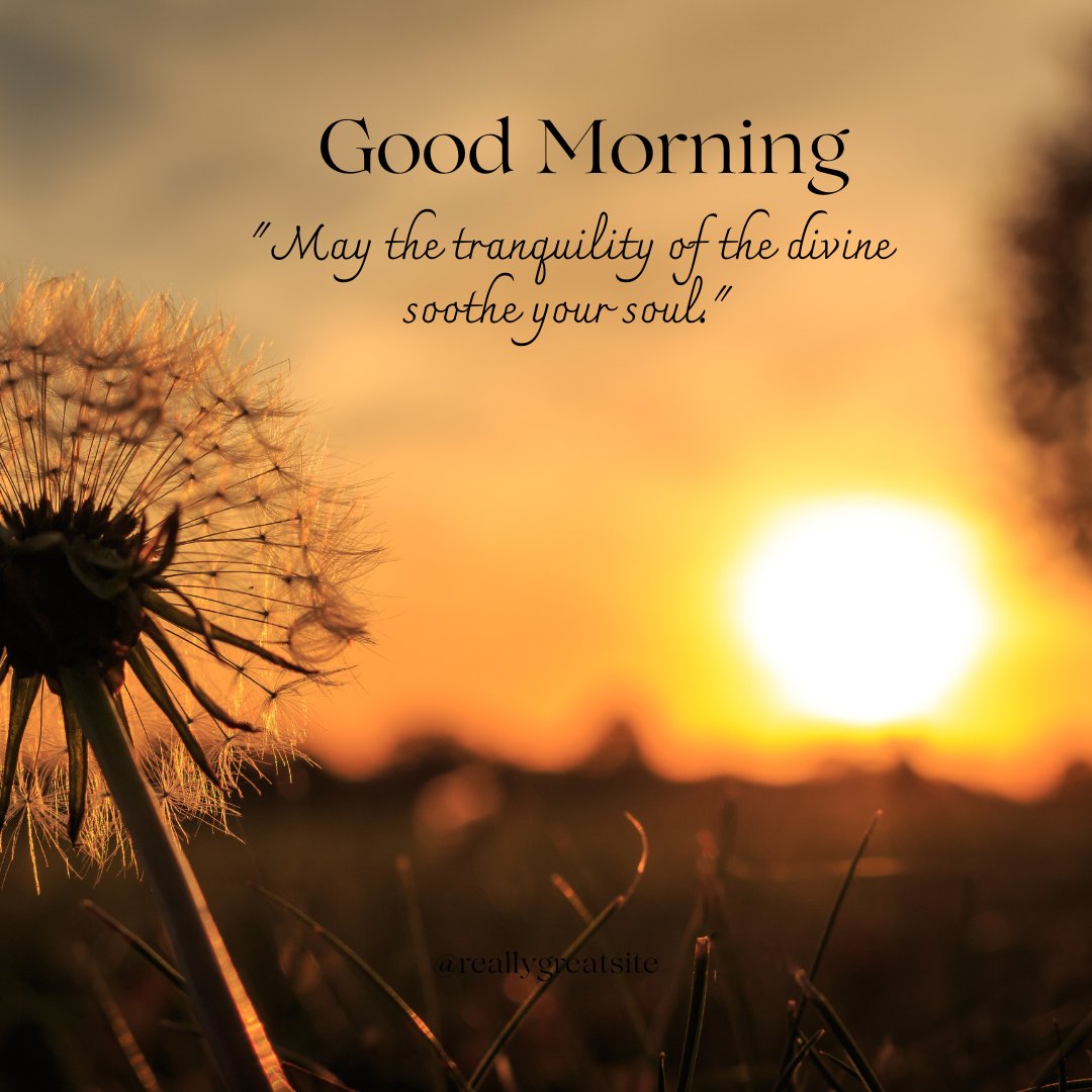 Good morning blessings image of a dandelion silhouette against a warm sunrise, evoking a peaceful morning with a quote about the tranquility of the divine soothing the soul.