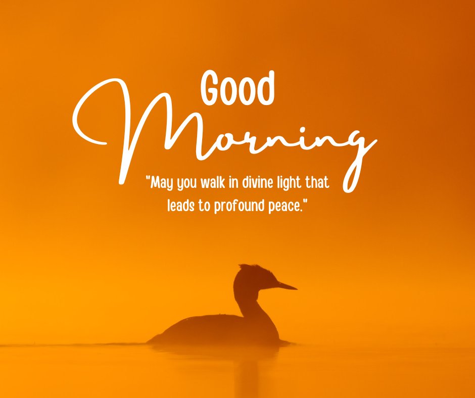 Good morning blessings image featuring a silhouette of a grebe bird on a serene water surface against a vibrant orange backdrop, with an inspirational quote about walking in divine light for profound peace.