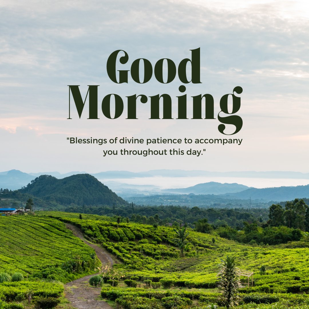 Good morning blessings image showcasing a lush green landscape with tea plantations stretching over rolling hills under a cloudy sky, complemented by a quote on the blessings of divine patience for the day.