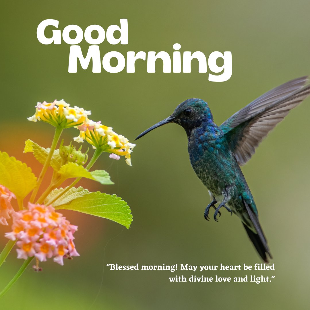 Good morning blessings image showcasing a vibrant hummingbird in mid-flight near colorful flowers, with a quote wishing a blessed morning filled with divine love and light, set against a soft green background.