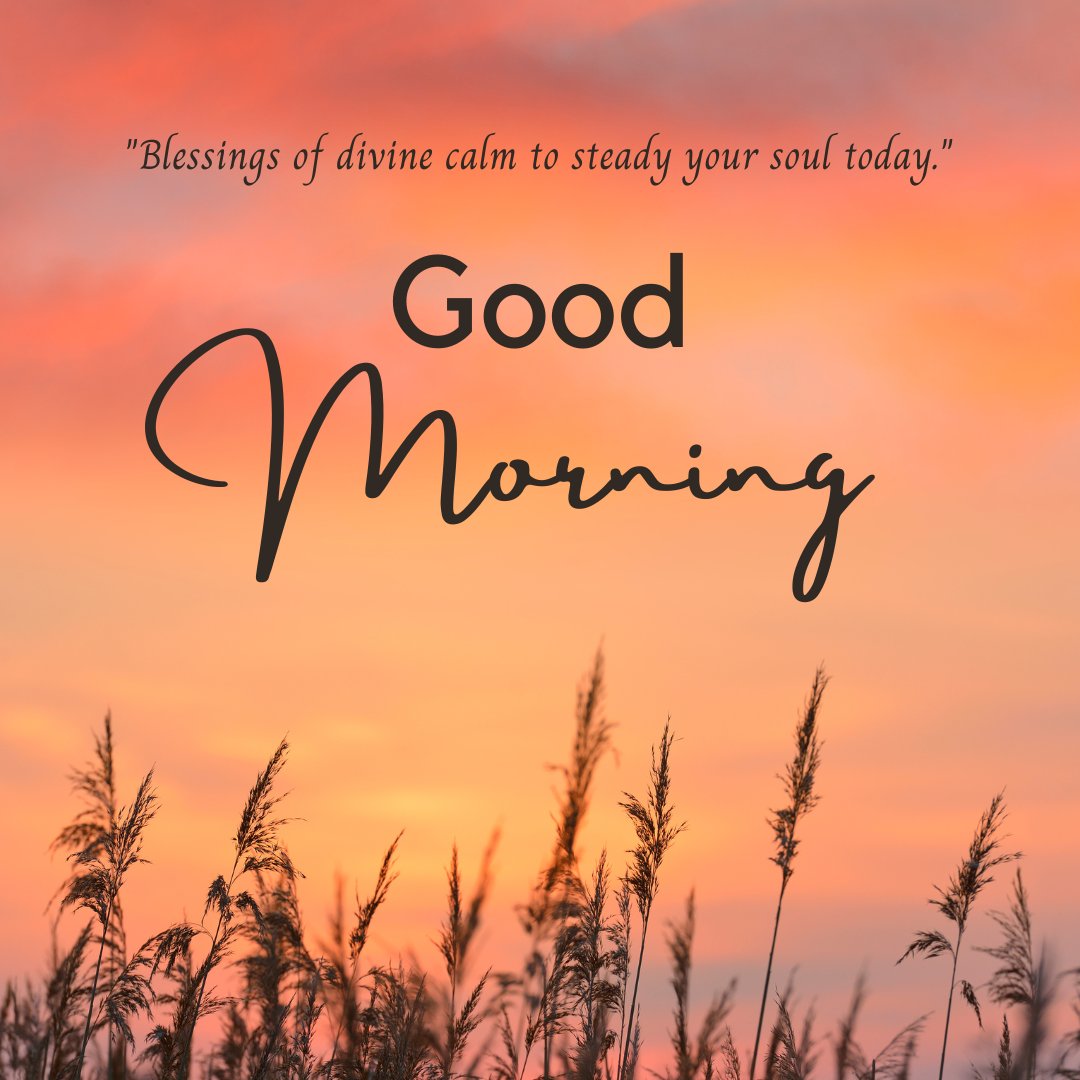 Good morning blessings image of tall grass silhouettes against a vibrant orange sunrise sky, accompanied by a quote about receiving divine calm to steady the soul today.