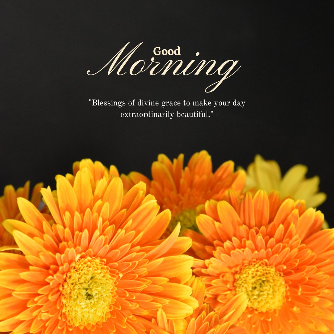 Good morning blessings image showcasing vibrant orange gerbera daisies against a stark black background, with the inspirational quote "Blessings of divine grace to make your day extraordinarily beautiful.