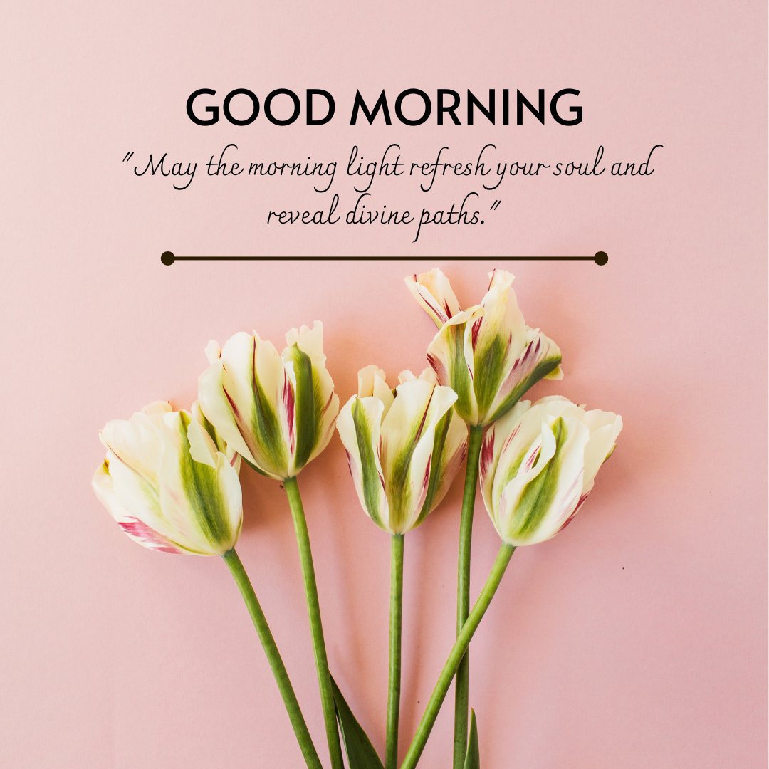 Good morning blessings image with a close-up of white and pink tulips against a soft pink background, accompanied by a motivational quote "May the morning light refresh your soul and reveal divine paths."