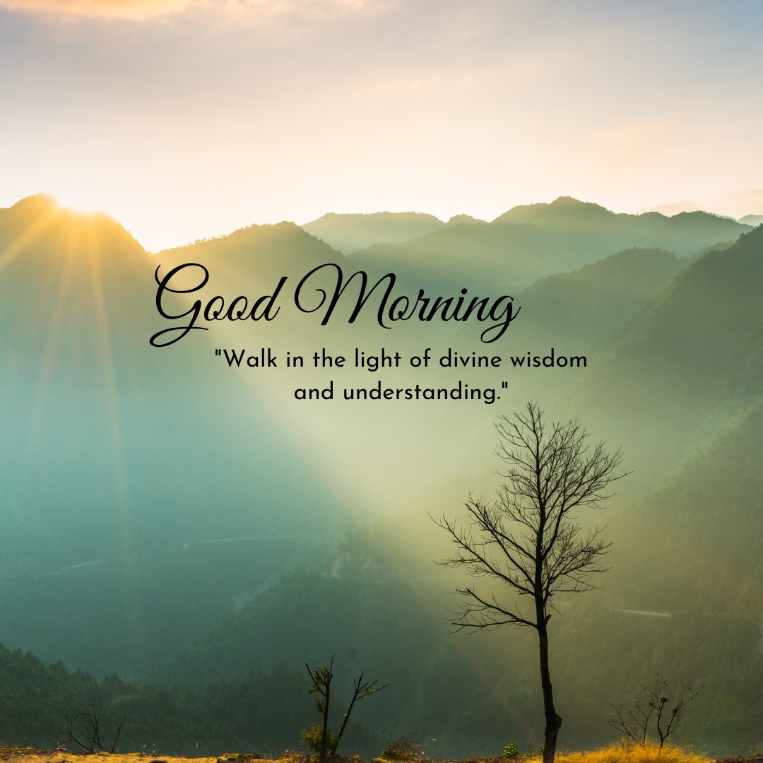 Good morning blessings image showing a breathtaking sunrise over misty mountains, with a lone tree silhouette and a quote about walking in the light of divine wisdom and understanding.