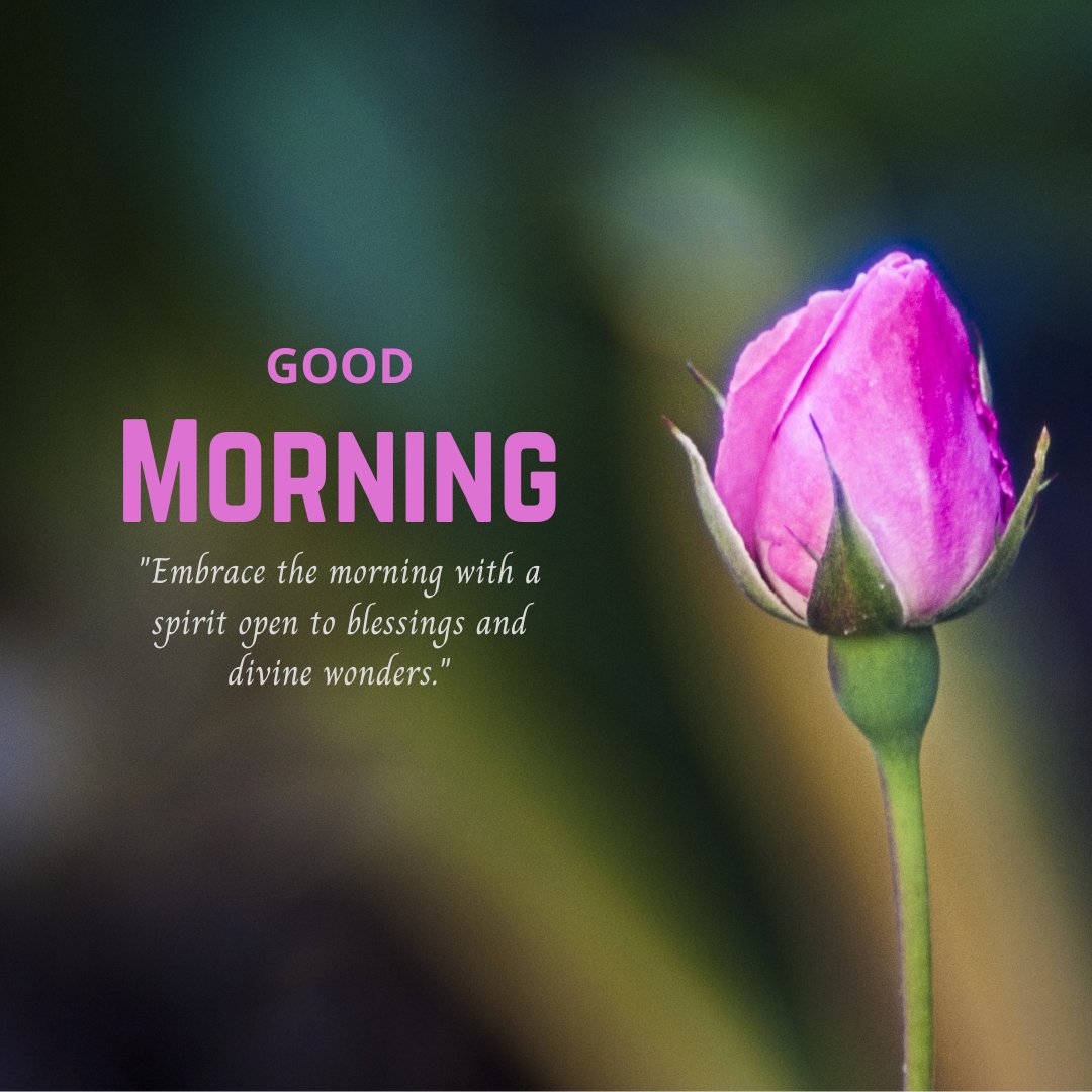 Good morning blessings image featuring a close-up of a vibrant pink rosebud against a softly blurred natural background, with an inspiring quote about embracing the morning with a spirit open to blessings and divine wonders.