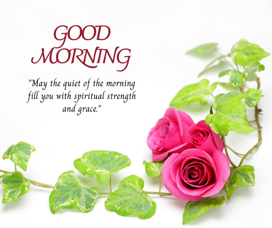 Good morning blessings image showcasing vibrant pink roses intertwined with green ivy leaves on a bright background, with a greeting and a quote about the morning's quiet bringing spiritual strength and grace