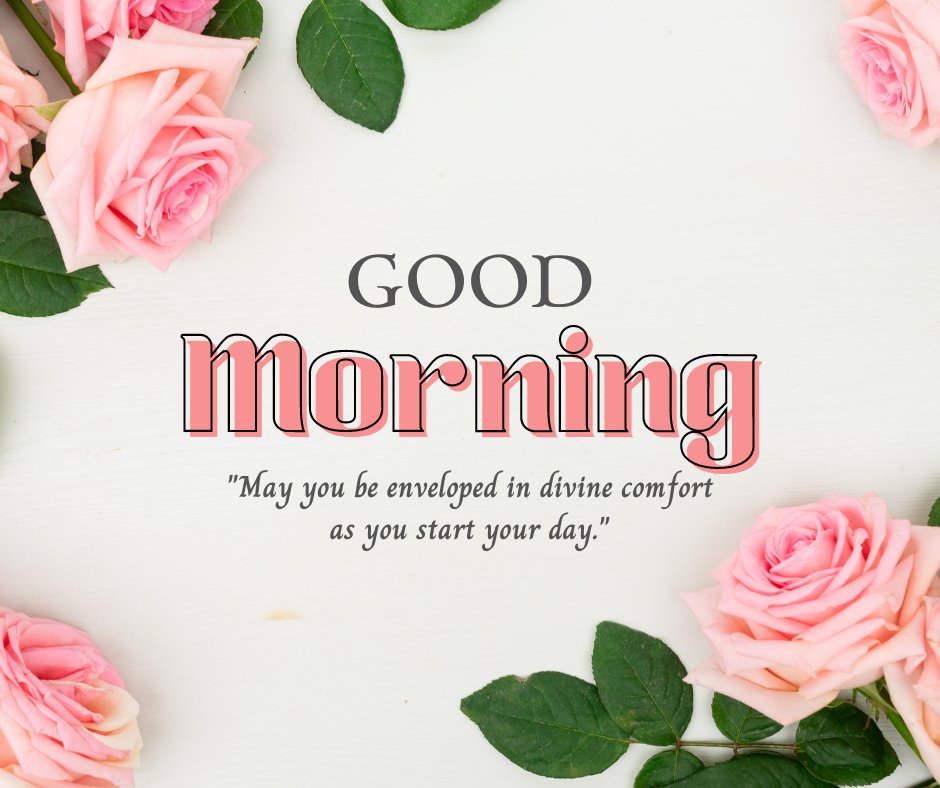 Good morning blessings image featuring delicate pink roses spread across a white background, highlighted by a 'Good Morning' greeting and a quote about being enveloped in divine comfort as the day begins.