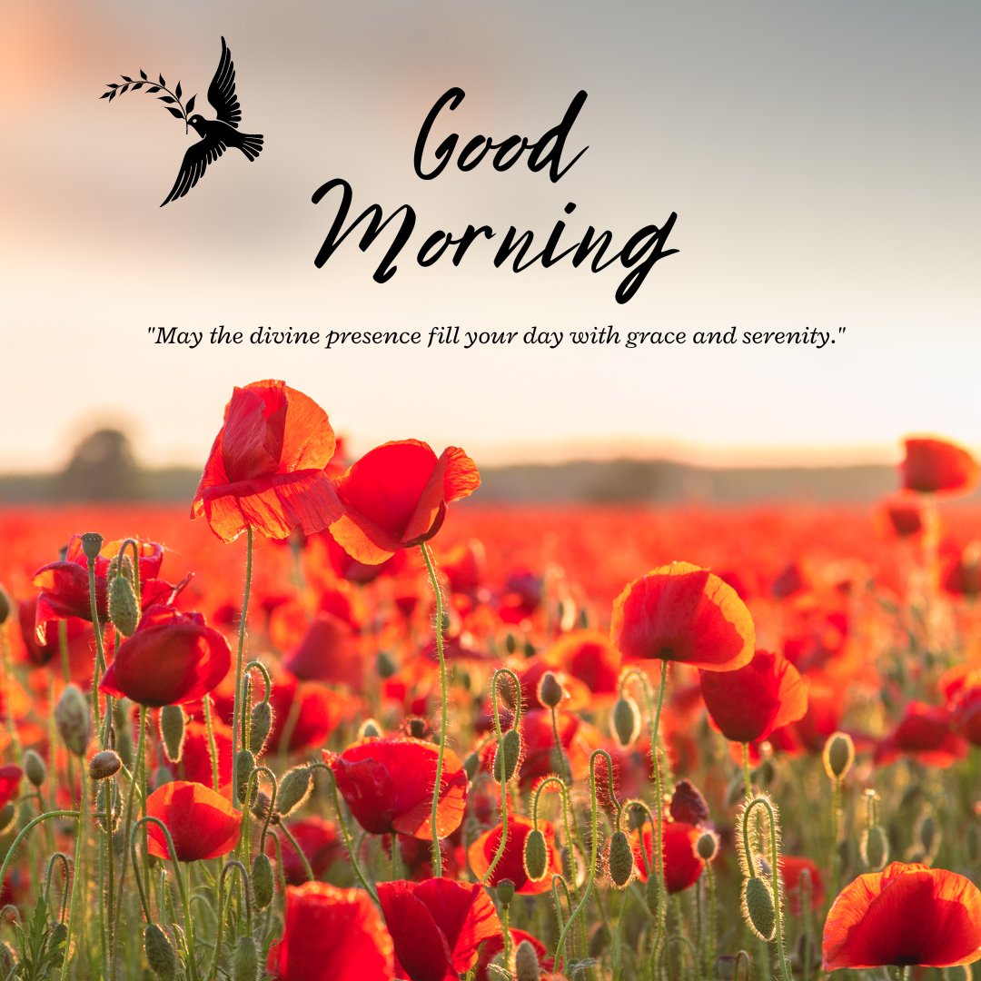 Good morning blessings image featuring a vibrant field of red poppies at sunrise with a hummingbird in flight, accompanied by a 'Good Morning' greeting and a blessing for grace and serenity.