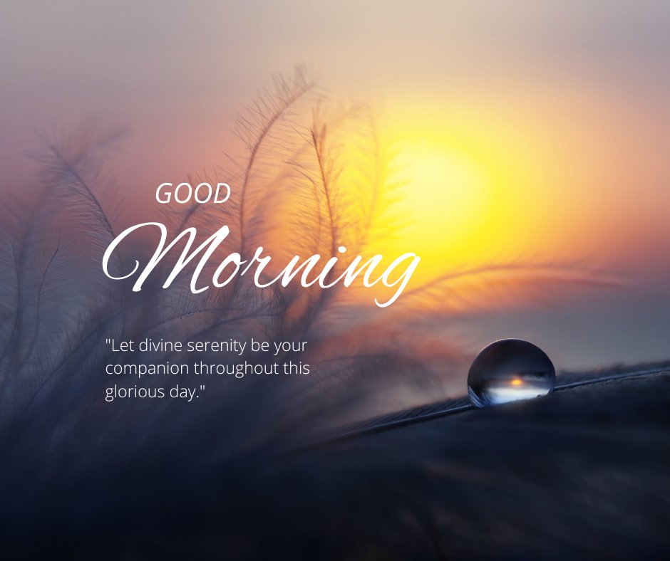 Good morning blessings image capturing a tranquil sunrise with delicate feather and dewdrop silhouettes, accompanied by a 'Good Morning' greeting and a quote about divine serenity accompanying you throughout the day.