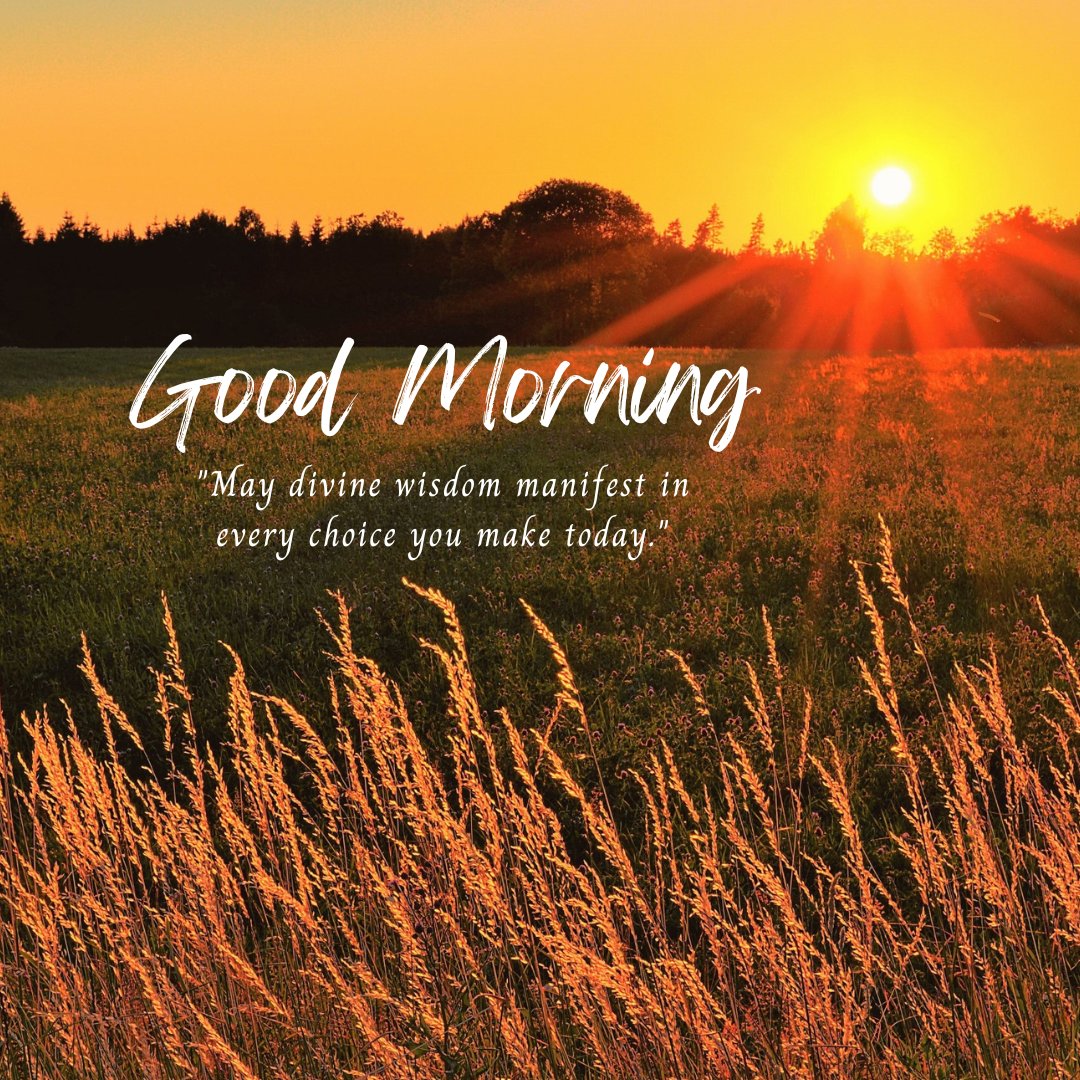 Good morning blessings image showcasing a stunning sunrise over a field with tall grasses, the warm sun casting golden light, accompanied by a 'Good Morning' greeting and a quote about divine wisdom guiding today's choices.